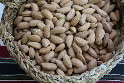 تصویر 2 از خرید بادام درختی کهنه + قیمت عالی باکیفیت